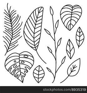 Botanical leaves set. Collection of tropical plants. Vector line icon. Editable stroke. Doodle style. Botanical leaves set. Collection of tropical plants. Vector line icon. Editable stroke. Doodle style.