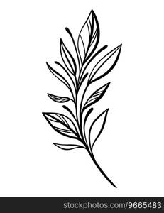 Botanical line illustration of a leaves branch for wedding invitation and cards, logo design, web, social media and posters template. Elegant minimal style floral vector isolated. 