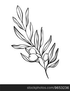 Botanical line illustration of olive leaves, branch for wedding invitation and cards, logo design, web, social media and posters template. Elegant minimal style floral vector isolated.