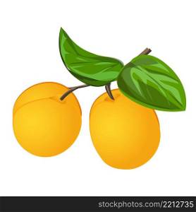 Botanical peach icon cartoon vector. Apricot fruit. Green juice. Botanical peach icon cartoon vector. Apricot fruit