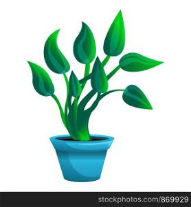Botanical plant pot icon. Cartoon of botanical plant pot vector icon for web design isolated on white background. Botanical plant pot icon, cartoon style