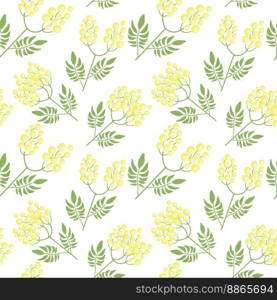 Botanical seam≤ss pattern with yellow mimosa flowers and≤aves on white background. Backdrop with e≤gant flowering plants. Natural vector illustration for texti≤pr∫, wallpaper, wrapπng paper.. Botanical seam≤ss pattern with yellow mimosa flowers and≤aves on white background.