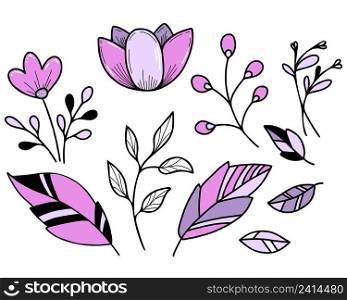 Botanical set. Flowers and leaves, lotus and plant branch. Vector illustration. Isolated hand drawings on white background