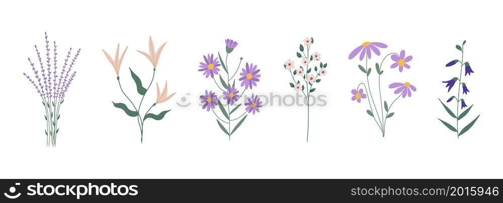 Botanical set of garden floral plants. Colorful flat vector illustration.. Botanical set of garden floral plants. Colorful flat vector illustration