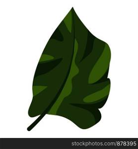 Botanical tropical leaf icon. Cartoon of botanical tropical leaf vector icon for web design isolated on white background. Botanical tropical leaf icon, cartoon style