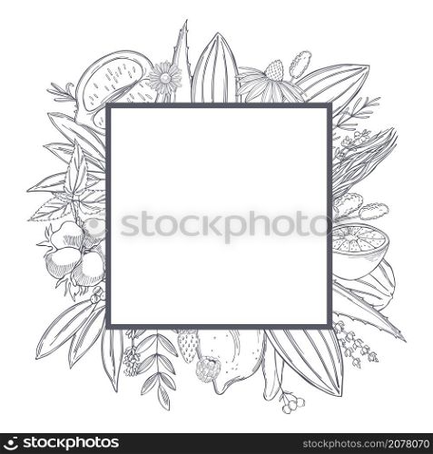 Botanical vector frame with hand drawn plants . Organic cosmetics background. . Botanical vector frame with hand drawn plants .