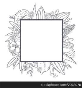 Botanical vector frame with hand drawn plants . Organic cosmetics background. . Botanical vector frame with hand drawn plants .