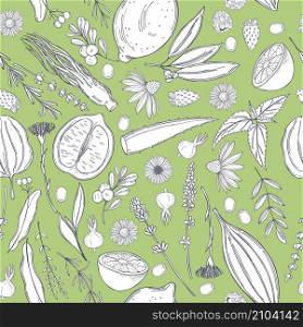 Botanical vector pattern with hand drawn medicinal plants. Organic cosmetics background. . Botanical pattern with hand drawn medicinal plants.