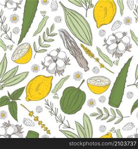 Botanical vector pattern with hand drawn plants . Organic cosmetics background.