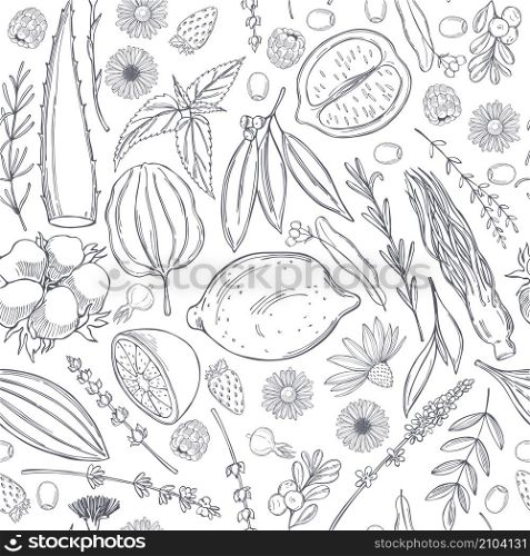 Botanical vector pattern with hand drawn plants . Organic cosmetics background.