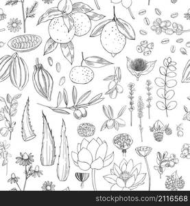 Botanical vector pattern with hand drawn plants . Organic cosmetics background.