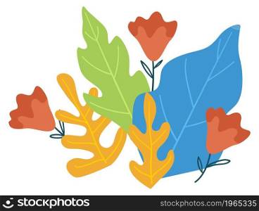 Botany and lush greenery, flourishing leaves and elegant twigs with flowers in bloom. Spring or summer blossom, organic and natural trendy tropical plants design. Vector in flat style illustration. Flourishing foliage and leaves greenery and botany