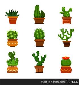 Botany decorative plants in pots. Cactus with flowers isolate on white background. Vector illustration. Green cactus with color flower. Botany decorative plants in pots. Cactus with flowers isolate on white background. Vector illustrations