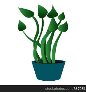 Botany houseplant icon. Cartoon of botany houseplant vector icon for web design isolated on white background. Botany houseplant icon, cartoon style
