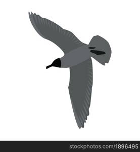 Bottom view of a flying seagull with spread wings isolated on white. Flying tern bird. Gray colors. Vector EPS10.