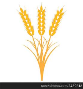 bouquet bunch of ears of wheat with the stems and leaves of ripe yellow color, a vector the concept of the harvest of crops, a sheaf of ripe wheat barley or rye