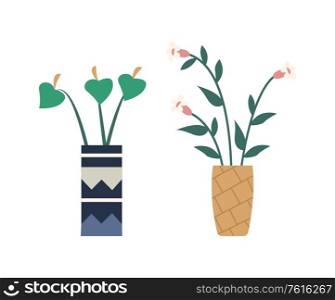 Bouquet made up of lilies vector, vase with flowers, flowering and blooming flat style. Isolated set of floral decoration, house plant with leaves. Calla Lilly Placed in Vase with Ornaments, Bouquet