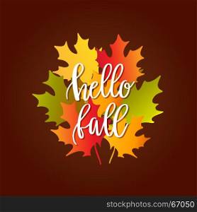 bouquet of autumn maple leaves. Autumn concept. Vector illustration of bouquet of autumn maple leaves and text Hello Fall on dark brown background