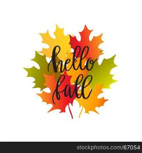 bouquet of autumn maple leaves. Vector illustration of bouquet of autumn maple leaves and text Hello Fall on white background