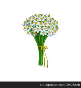 Bouquet of daffodils isolated spring flowers. Vector narcissus plants, springtime blossoms in bunch. Narcissus or daffodils isolated spring flowers