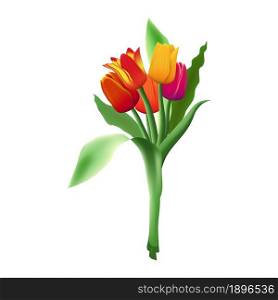 Bouquet of five realistic vector tulips isolated on white background. Red, yellow and purple flower buds. Green long leaves.