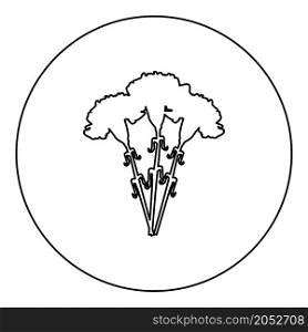 Bouquet of flowers Carnation icon in circle round black color vector illustration image outline contour line thin style simple. Bouquet of flowers Carnation icon in circle round black color vector illustration image outline contour line thin style