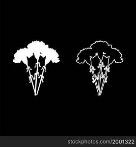 Bouquet of flowers Carnation icon white color vector illustration flat style simple image set. Bouquet of flowers Carnation icon white color vector illustration flat style image set