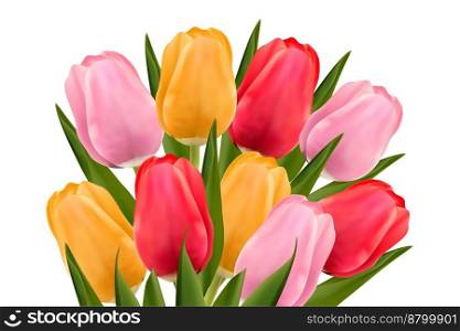 Bouquet of multi-colored tulips on a white background. The concept of mother’s day, women’s day. Vector image.