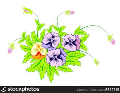 Bouquet of pansies