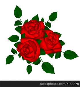 bouquet of red roses on a white background vector illustration. bouquet of red roses on a white background