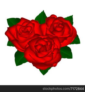 bouquet of red roses on a white background vector illustration of flowers. bouquet of red roses on a white background