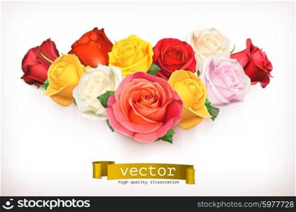 Bouquet of roses, vector illustration isolated on white