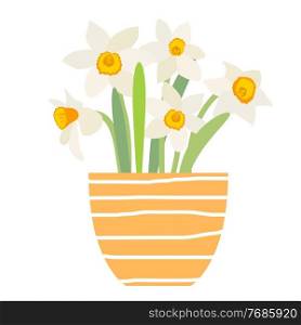 Bouquet of spring flowers daffodils in flower pot isolated on white background. Bouquet of spring flowers daffodils in flower pot isolated on white background. EPS10