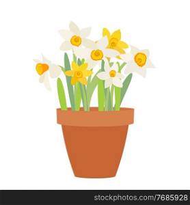 Bouquet of spring flowers daffodils in flower pot isolated on white background. Bouquet of spring flowers daffodils in flower pot isolated on white background. EPS10