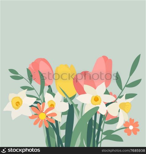 Bouquet of spring flowers tulips and daffodils. Vector Illustration. Bouquet of spring flowers tulips and daffodils. Vector Illustration. EPS10