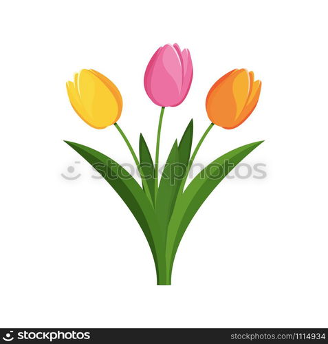 Bouquet of tulips. vector illustration