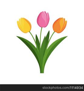 Bouquet of tulips. vector illustration