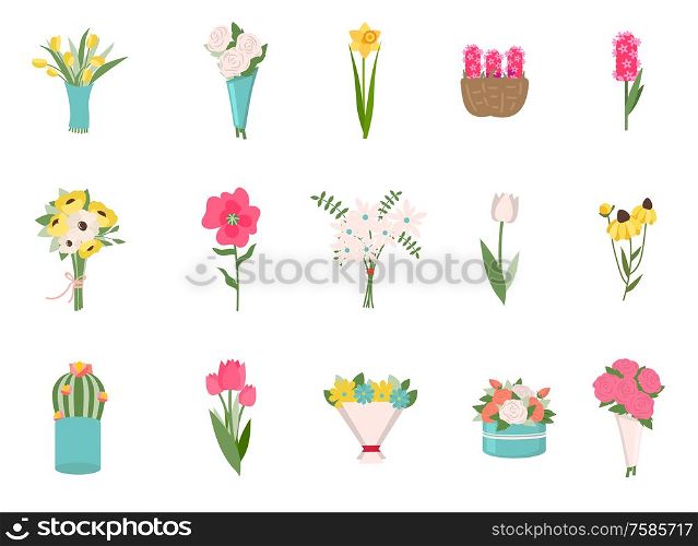 Bouquet of wedding flowers set, blossom or flavor on white. Colorful roses, daisies exotic plants in flat design style, element of natural decoration vector. Early spring and summer flower in garden. Roses, Daisies Bouquet and Exotic Plants Vector