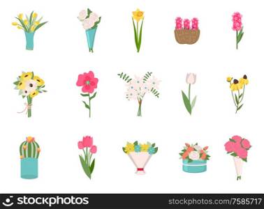 Bouquet of wedding flowers set, blossom or flavor on white. Colorful roses, daisies exotic plants in flat design style, element of natural decoration vector. Early spring and summer flower in garden. Roses, Daisies Bouquet and Exotic Plants Vector