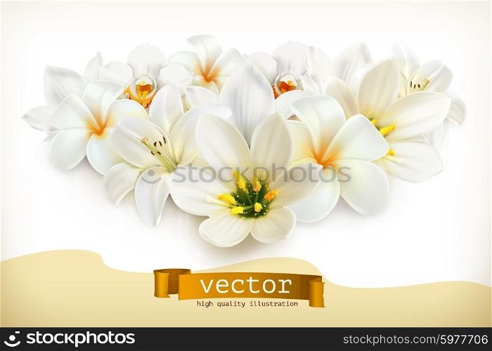 Bouquet of white flowers, vector illustration