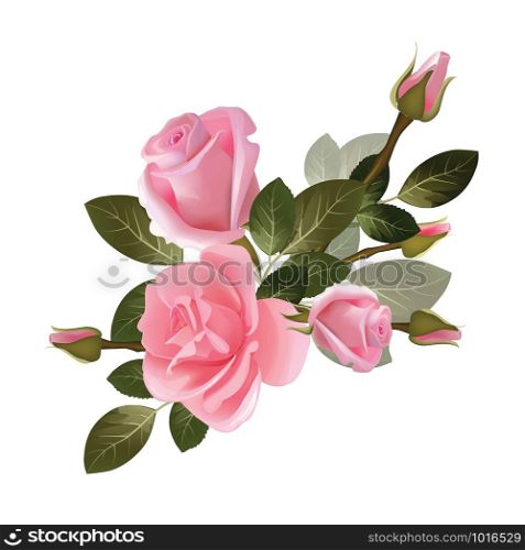 Bouquet roses. Red and white beautiful flowers collection vector background. Bouquet flower rose, blossom spring plant illustration. Bouquet roses. Red and white beautiful flowers collection vector background