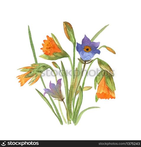 Bouquet with daffodils, bluebells, anemones in watercolor. Decorative colorful flowers. Background for wallpaper, prints design. Spring textile texture. Ornament illustration. Vector.