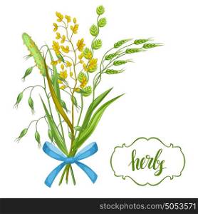 Bouquet with herbs and cereal grass. Floral design of meadow plants. Bouquet with herbs and cereal grass. Floral design of meadow plants.