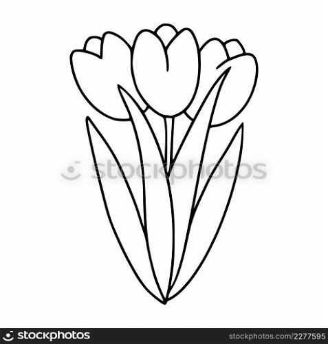 Bouquet with tulips painted in the style of doodle. The tulip is a contour line. Vector icon for the decoration of cards.