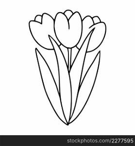 Bouquet with tulips painted in the style of doodle. The tulip is a contour line. Vector icon for the decoration of cards.