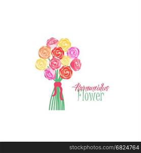 Bouquets of flowers. Vector illustration of ranunculus flower. Background with a flower bouquet