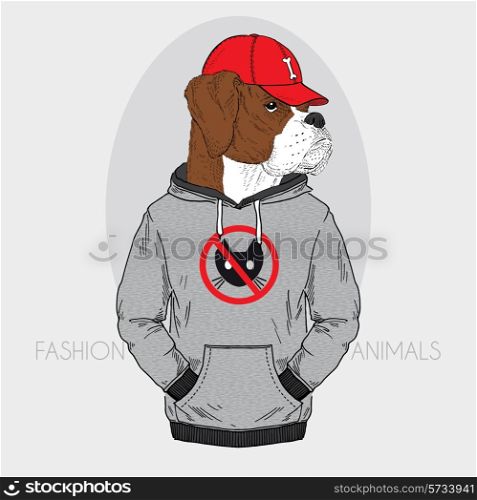 boxer dog dressed up in urban style