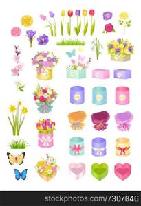 Boxes and flowers collection, wrapping and decoration bows, tulips and sakura, roses and butterflies set, narcissus and grass, vector illustration. Boxes and Flowers, Collection Vector Illustration