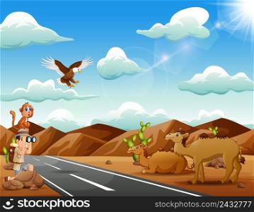 Boy explorer with many animal in the sunny desert