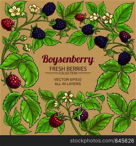 boysenberry vector frame on color background. boysenberry vector frame